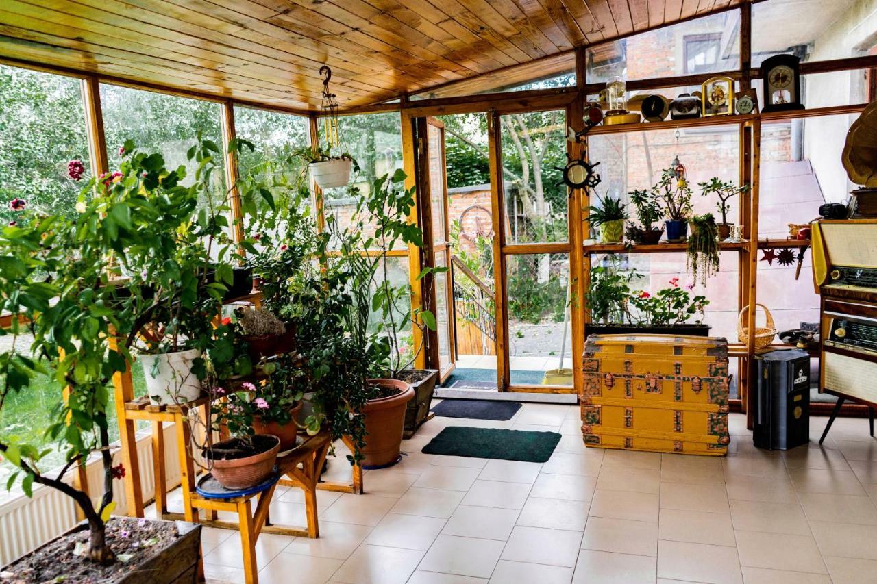 Hostel Villa Roma Lviv Exteriör bild